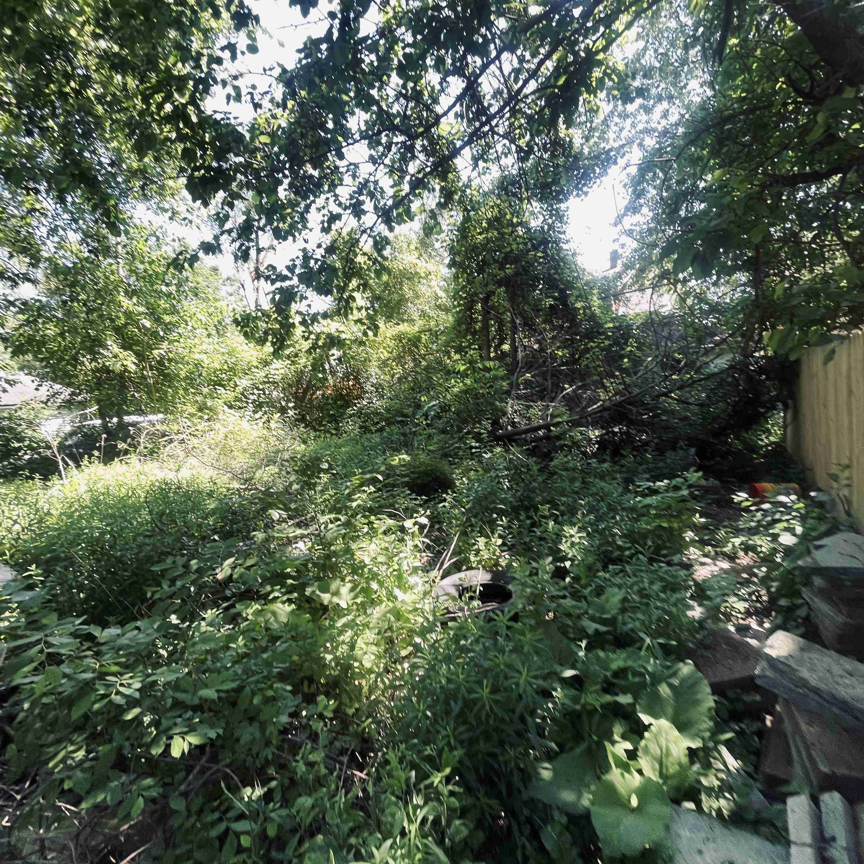 14910 Robson (18).jpg